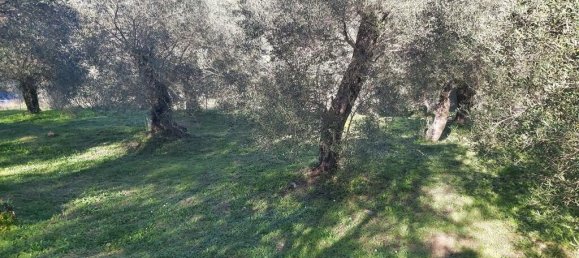 7000m² Hotel in Corfu, Greece No. 3741 5