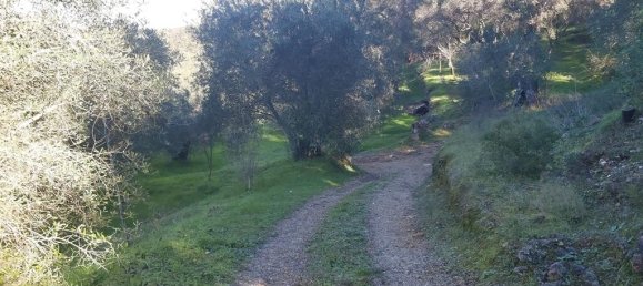 7000m² Hotel in Corfu, Greece No. 3741 19