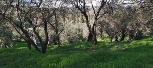 7000m² Hotel in Corfu, Greece No. 3741 13