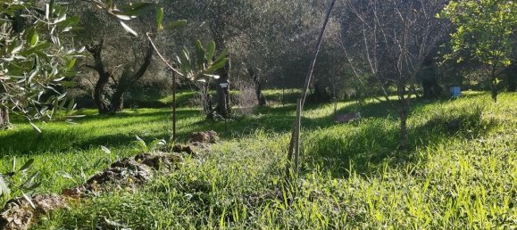 7000m² Hotel in Corfu, Greece No. 3741 8