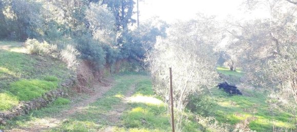 7000m² Hotel in Corfu, Greece No. 3741 17