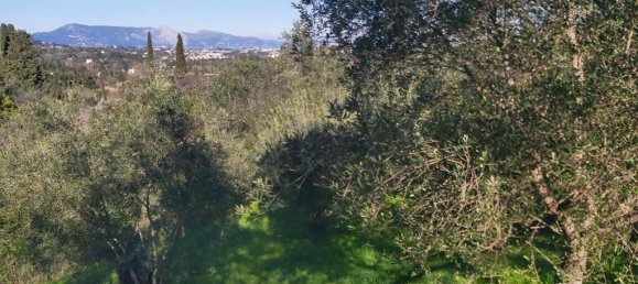 7000m² Hotel in Corfu, Greece No. 3741 12