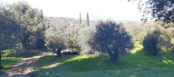 7000m² Hotel in Corfu, Greece No. 3741 20