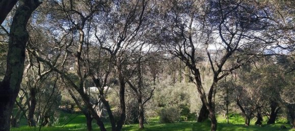 7000m² Hotel in Corfu, Greece No. 3741 15