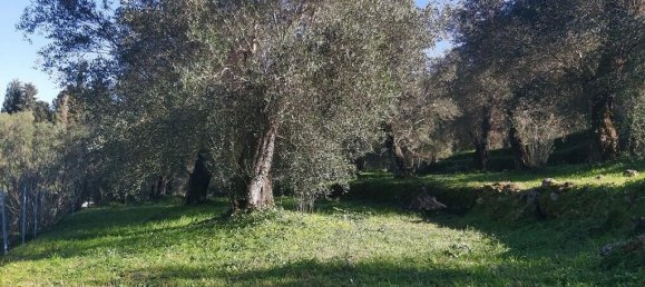 7000m² Hotel in Corfu, Greece No. 3741 29