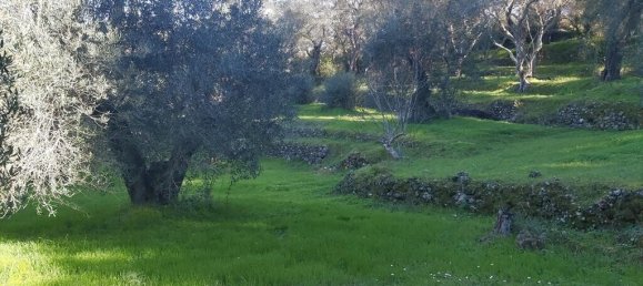 7000m² Hotel in Corfu, Greece No. 3741 24