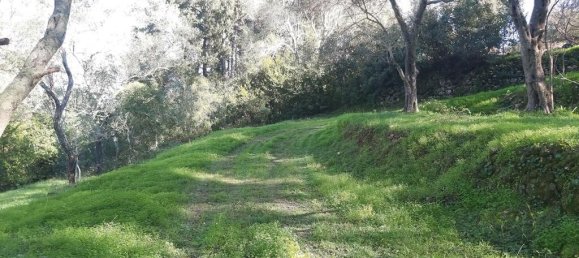 7000m² Hotel in Corfu, Greece No. 3741 16