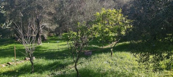 7000m² Hotel in Corfu, Greece No. 3741 9