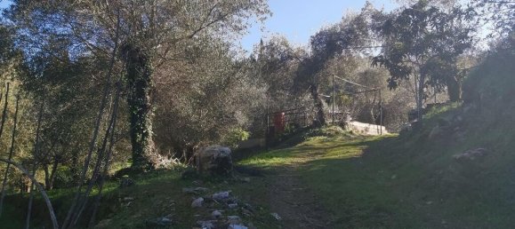 7000m² Hotel in Corfu, Greece No. 3741 26