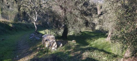 7000m² Hotel in Corfu, Greece No. 3741 10