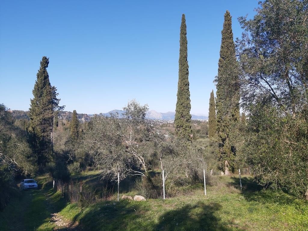 7000m² hôtel à vendre à Corfu, Central Corfu and Diapontian Islands, Corfu, Ionian Islands, Peloponnese, Western Greece and the Ionian, Greece № 3741