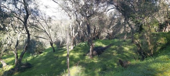 7000m² Hotel in Corfu, Greece No. 3741 18