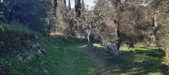 7000m² Hotel in Corfu, Greece No. 3741 28