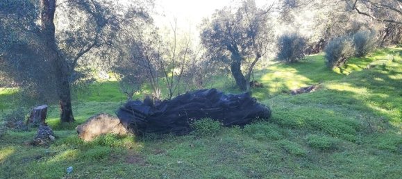 7000m² Hotel in Corfu, Greece No. 3741 23