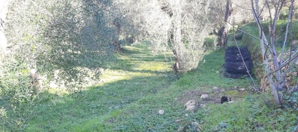 7000m² Hotel in Corfu, Greece No. 3741 25