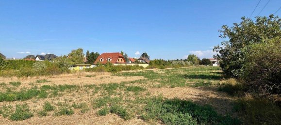 Land in Traiskirchen, Austria No. 133313 4