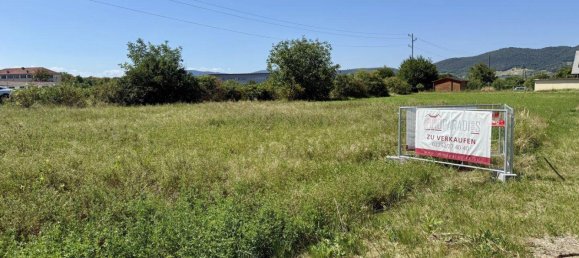 Land in Traiskirchen, Austria No. 133313 3