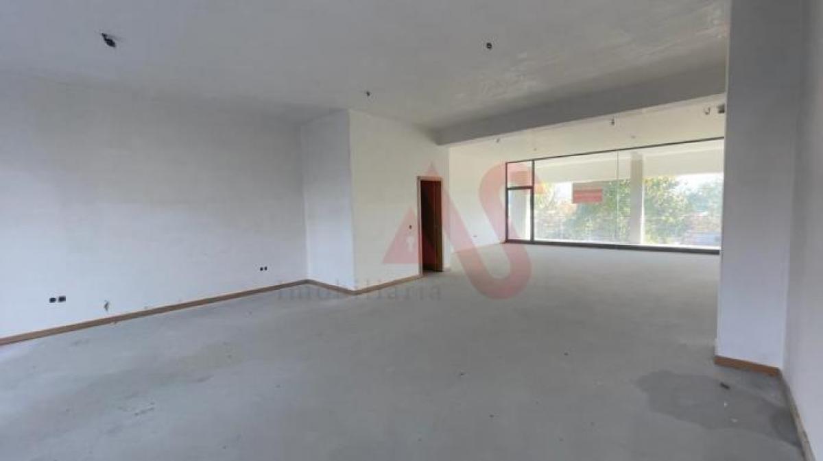  Shop in Guimaraes, Portugal No. 8425