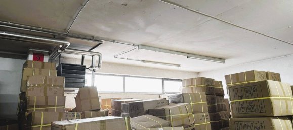 Entrepôt à Offenbach, Germany 6187m² No. 182762 9