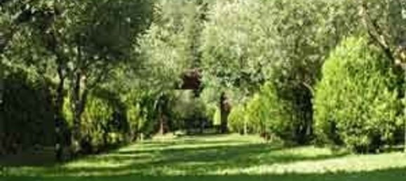 15 rooms Commercial property in Massarosa, Italy No. 85345 11