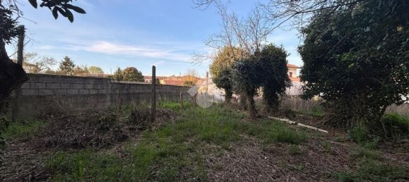 3 Schlafzimmer Haus in Solesino, Italy, Nr. 324480 10