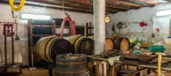 5 bedrooms House in Alora, Spain No. 72297 45