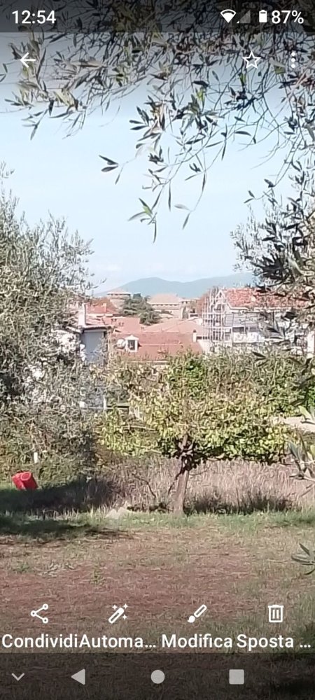 Terrain à Vasanello, Italy No. 256410