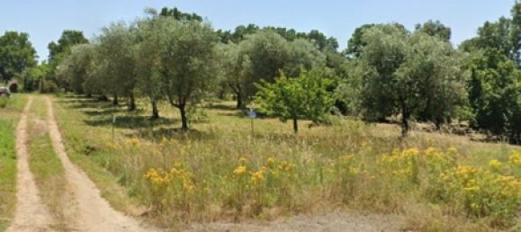 Terrain à Vasanello, Italy No. 256410 2