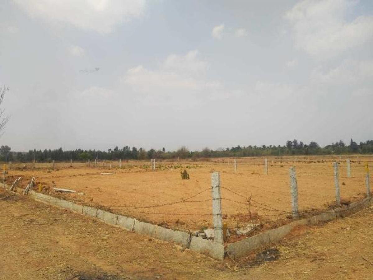 Grundstück in Bangalore, India, Nr. 31252