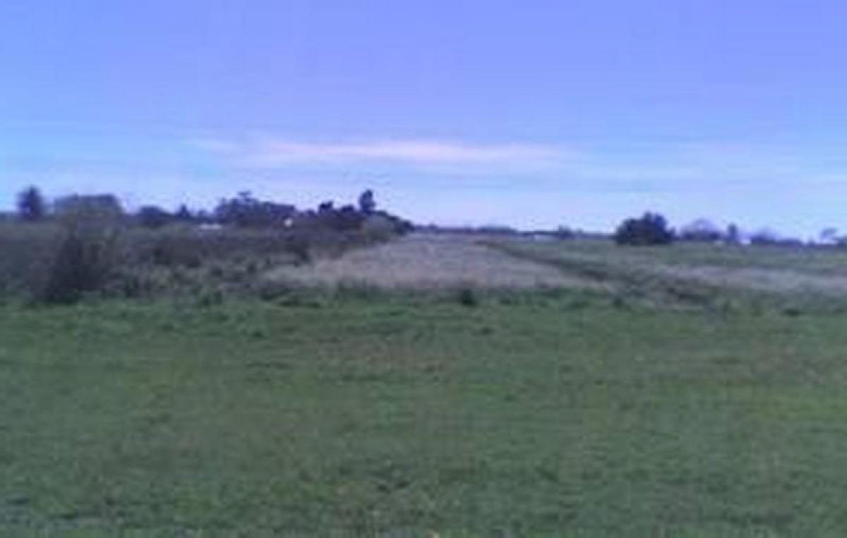  قطعة أرض في Tigre, Argentina رقم 41484