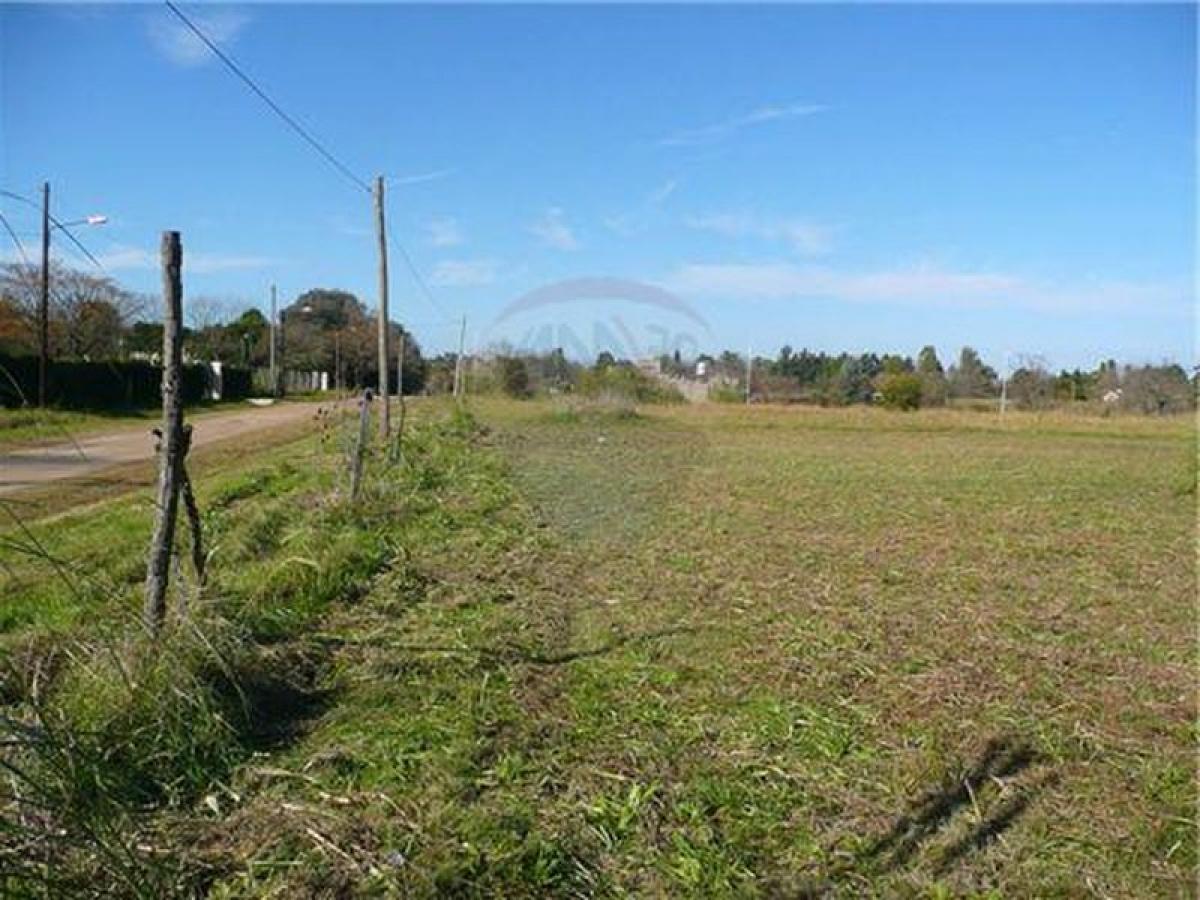  Land in Pilar, Argentina No. 39995