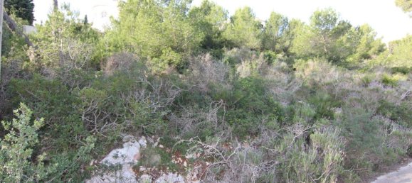  Land in Javea, Spain No. 8410 2