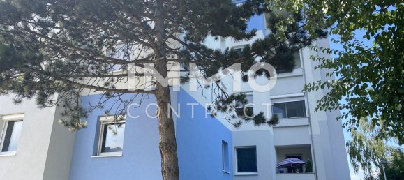 2 rooms Apartment in Wels, Austria No. 161465 6