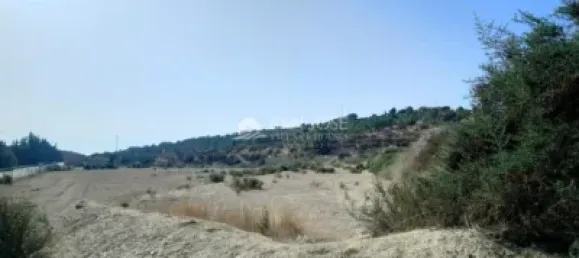 6 bedrooms House in Aspe, Spain No. 100418 11