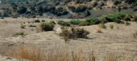 6 bedrooms House in Aspe, Spain No. 100418 23