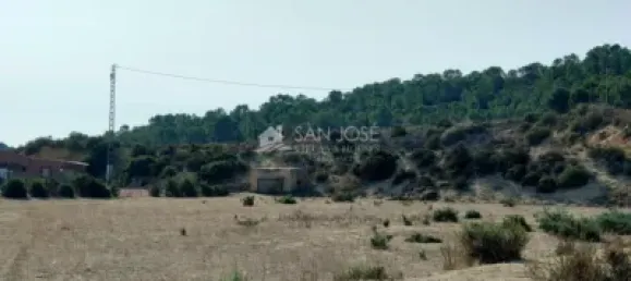 6 bedrooms House in Aspe, Spain No. 100418 7