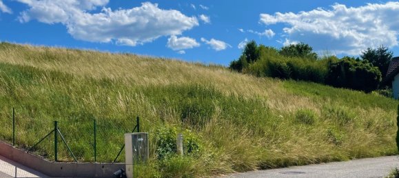 Земельный участок в Вайскирхен ан дер Траун, Австрия № 205194 4