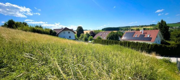 Земельный участок в Вайскирхен ан дер Траун, Австрия № 205194 2