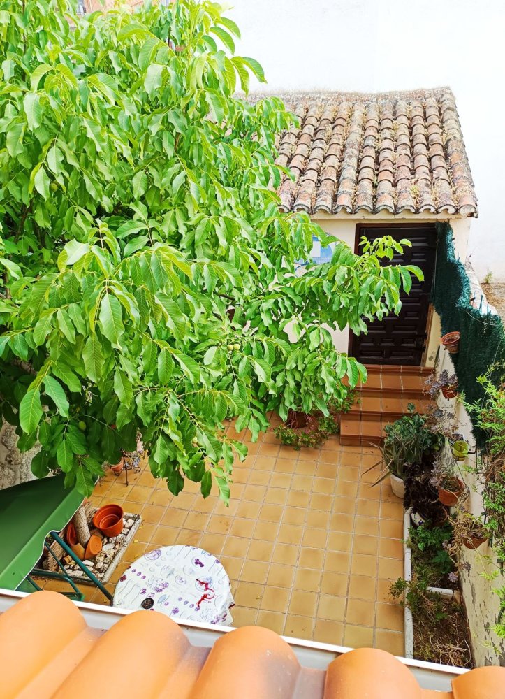 3 bedrooms House in Colmenar Viejo, Spain No. 155059