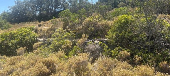 1900m² Land in Loule, Portugal No. 317029 2