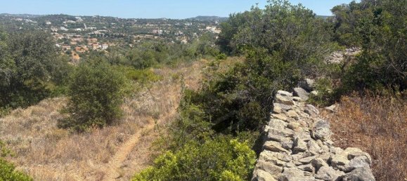 1900m² Land in Loule, Portugal No. 317029 11