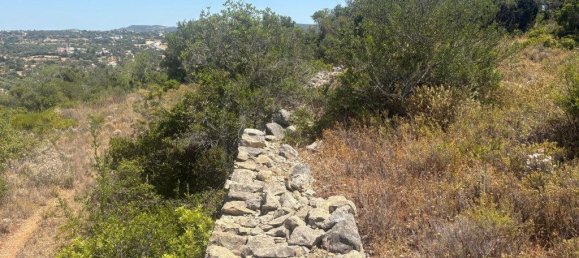 1900m² Land in Loule, Portugal No. 317029 3