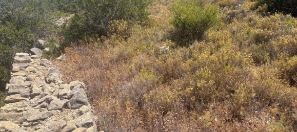 1900m² Land in Loule, Portugal No. 317029 9