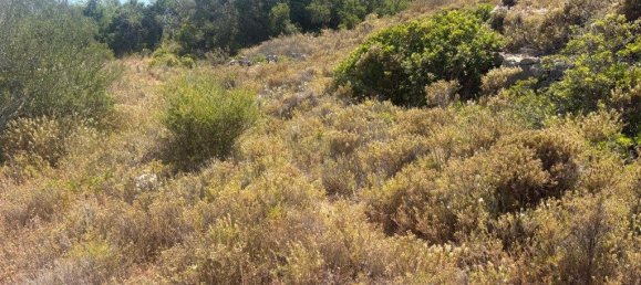 1900m² Land in Loule, Portugal No. 317029 8