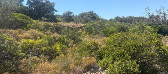 1900m² Land in Loule, Portugal No. 317029 15