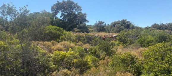 1900m² Land in Loule, Portugal No. 317029 4