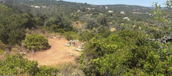 1900m² Land in Loule, Portugal No. 317029 13