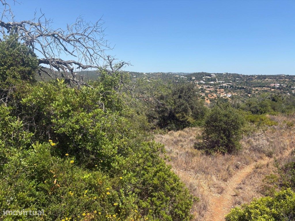 1900m² Land in Loule, Portugal No. 317029