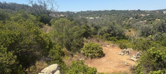 1900m² Land in Loule, Portugal No. 317029 10