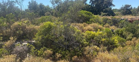 1900m² Land in Loule, Portugal No. 317029 5